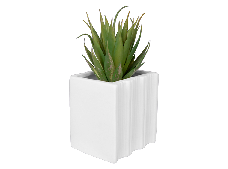 BOOK WORM CONTAINER