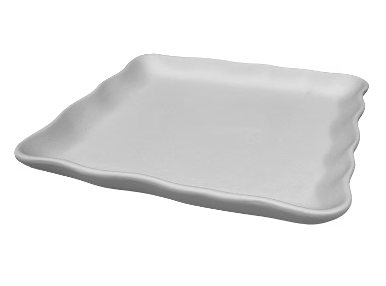 SASSY SQUARE PLATE