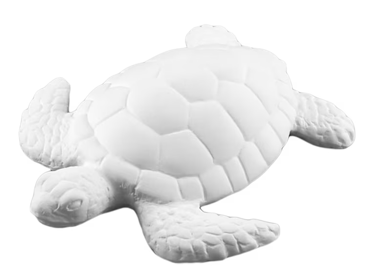 SEA TURTLE