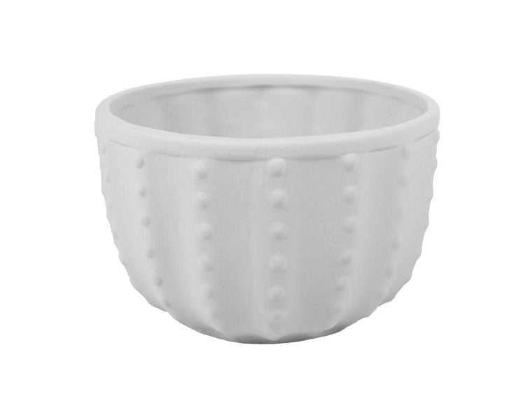 CACTUS BOWL