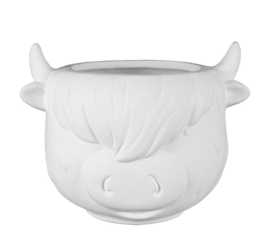 HIGHLAND COW CONTAINER