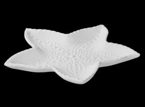 STARFISH DISH