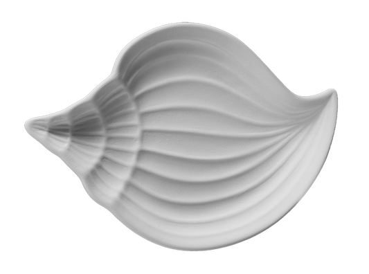 BIG SHELL DISH