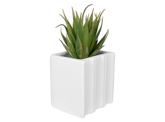 BOOK WORM CONTAINER