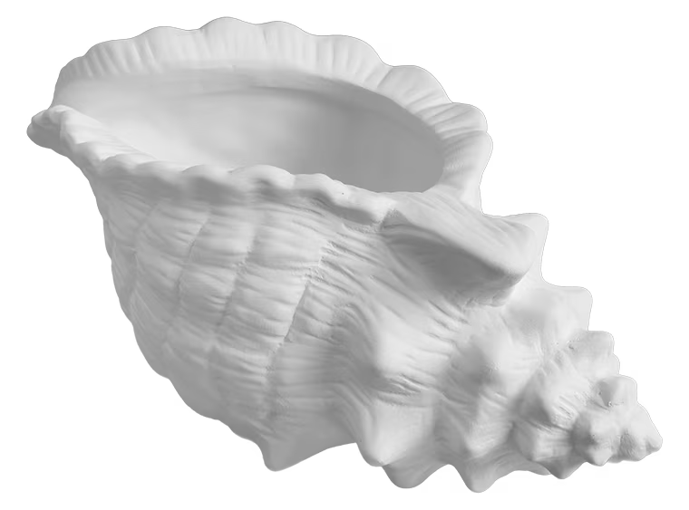 CONCH SHELL PLANTER