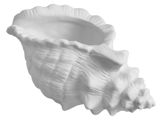 CONCH SHELL PLANTER