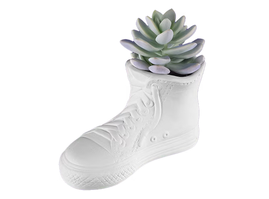 FRESH KICKS PLANTER