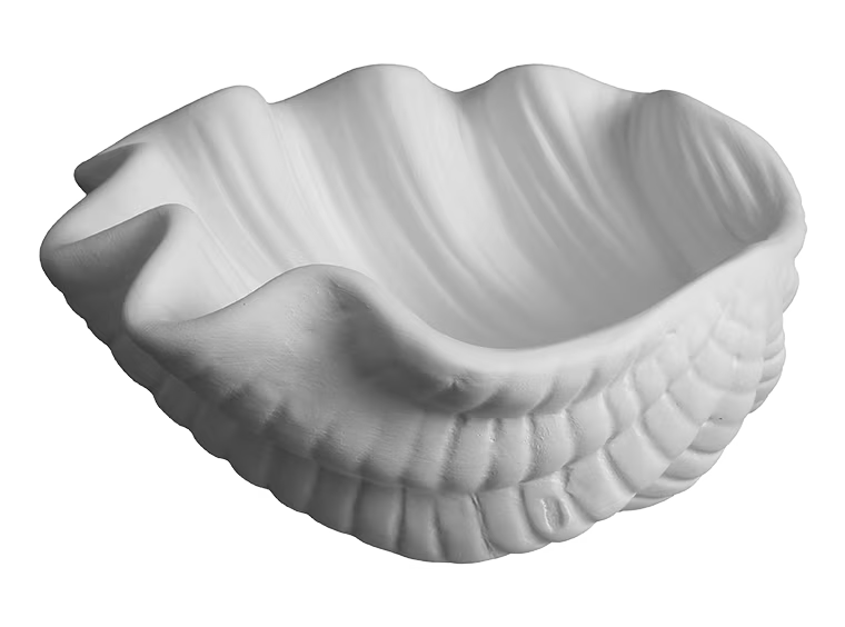 GIANT CLAM SHELL DISH