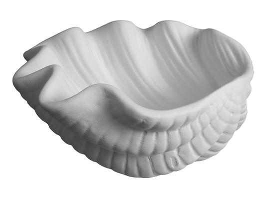 GIANT CLAM SHELL DISH