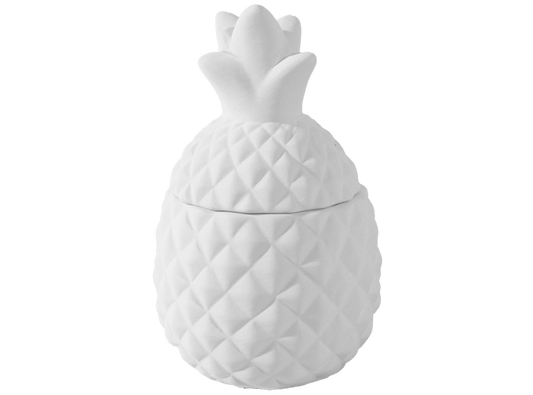 MINI PINEAPPLE BOX