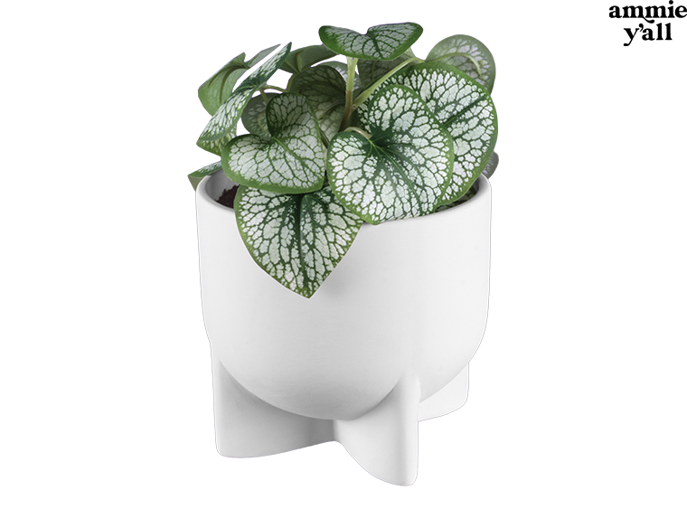 MODERN FOOTED CONTAINER