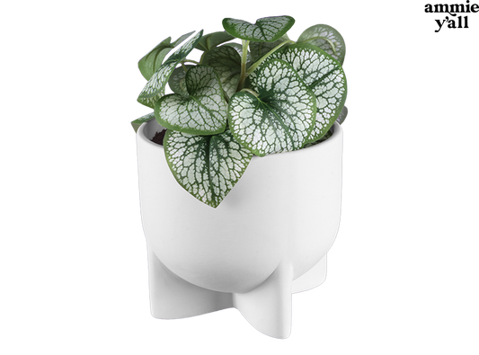 MODERN FOOTED CONTAINER