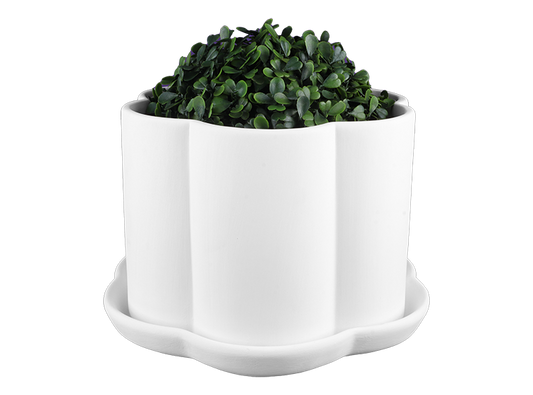 SCALLOPED PLANTER