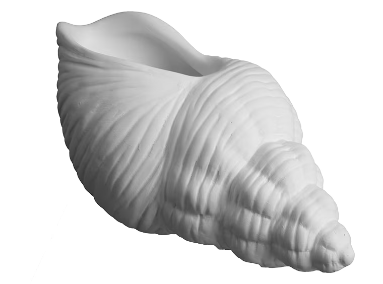TRUMPET SHELL PLANTER
