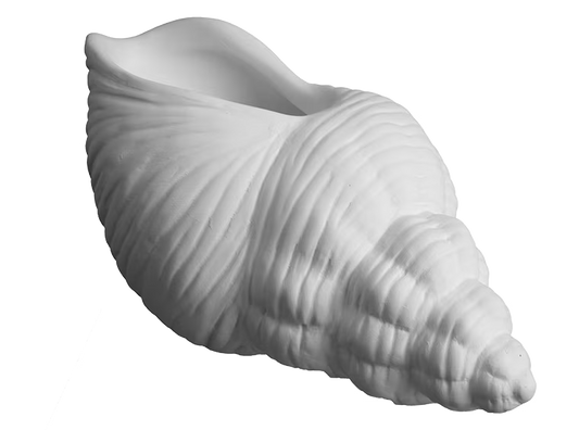 TRUMPET SHELL PLANTER
