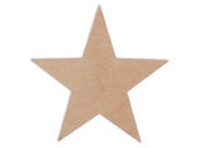 STAR DOOR HANGER BI