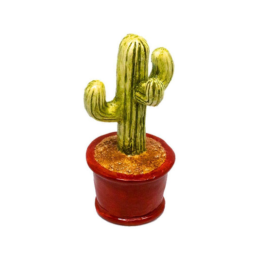 CACTUS SUCCULENT POT